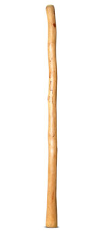 Natural Finish Flared Didgeridoo (TW1355)